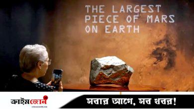 ৫২ কোটি টাকায় নিউইয়র্কে বিক্রি হলো মঙ্গলগ্রহের পাথর, ভাগ চায় নাইজারও