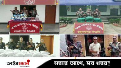 বেনাপোল সীমান্তে ৯৫ লাখ ৫৭ হাজার টাকার শাড়ি, সোনা ও মাদক জব্দ