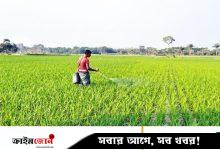 কৃষি ও পল্লিঋণে নতুন লক্ষ্য সাড়ে ৩৯ হাজার কোটি