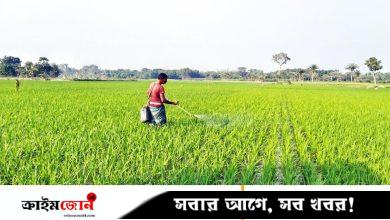 কৃষি ও পল্লিঋণে নতুন লক্ষ্য সাড়ে ৩৯ হাজার কোটি
