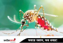 ডেঙ্গুর প্রাদুর্ভাবে নাকাল প্রশান্ত মহাসাগরীয় দ্বীপপুঞ্জ, কারণ জানালেন বিশেষজ্ঞরা