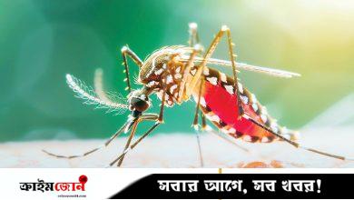 ডেঙ্গুর প্রাদুর্ভাবে নাকাল প্রশান্ত মহাসাগরীয় দ্বীপপুঞ্জ, কারণ জানালেন বিশেষজ্ঞরা