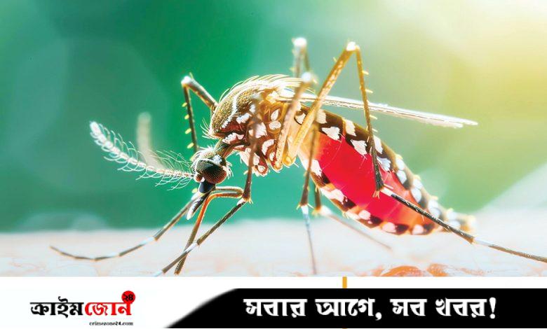 ডেঙ্গুর প্রাদুর্ভাবে নাকাল প্রশান্ত মহাসাগরীয় দ্বীপপুঞ্জ, কারণ জানালেন বিশেষজ্ঞরা