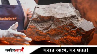 মঙ্গলের উল্কাপিণ্ড যুক্তরাষ্ট্রে ৫০ লাখ ডলারে বিক্রি, নিজেদের দাবি নাইজারের