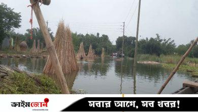 কুষ্টিয়ায় বিপৎসীমার ১ মিটার নিচ দিয়ে প্রবাহিত হচ্ছে পদ্মার পানি