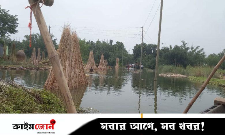 কুষ্টিয়ায় বিপৎসীমার ১ মিটার নিচ দিয়ে প্রবাহিত হচ্ছে পদ্মার পানি