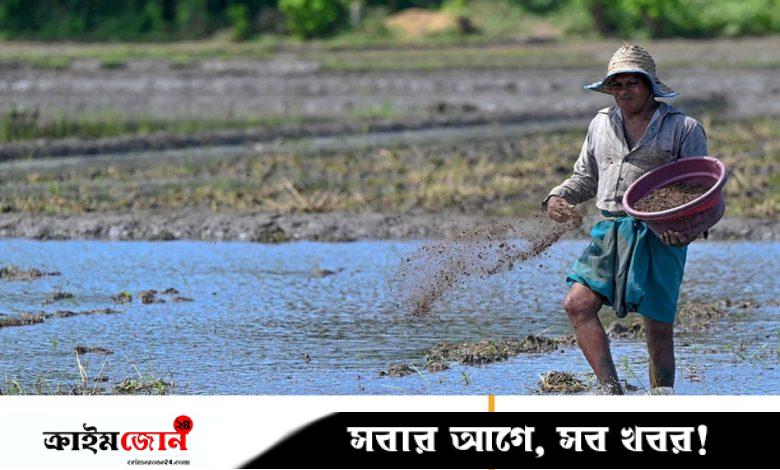মানববর্জ্য থেকে তৈরি বায়োচার, সার সংকট ও দূষণ মোকাবিলায় নয়া সম্ভাবনা