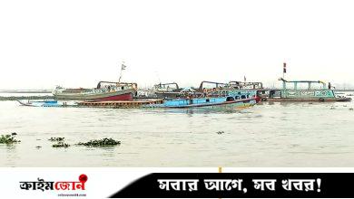 মেঘনায় জাহাজের ধাক্কায় মালবোঝাই জাহাজডুবি