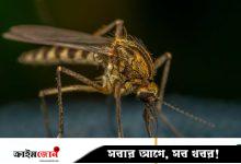 হালকা রঙের পোশাক পরলে মশা কামড়ায় না! মশা থেকে বাঁচার আরও উপায় জেনে নিন