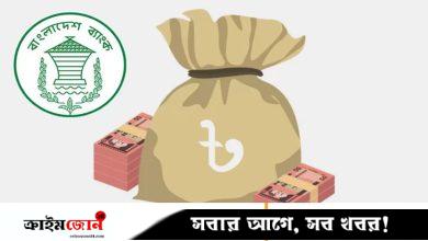 অর্থনীতির গতি ফিরেছে, ঝুঁকি কাটেনি