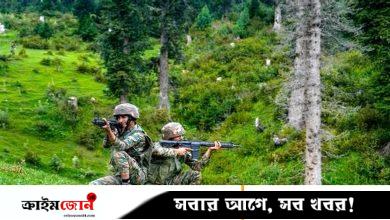কাশ্মীর সীমান্তে পাকিস্তান থেকে ছোড়া গুলিতে ২ ভারতীয় সেনা নিহত