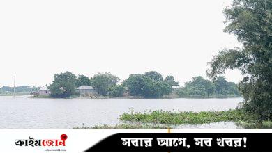 কুষ্টিয়ার দৌলতপুরে বন্যা পরিস্থিতির অবনতি