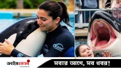 ফ্যাক্টচেক /অরকার আক্রমণে তরুণী প্রশিক্ষকের মৃত্যু, ভাইরাল ভিডিওটি সম্পর্কে যা জানা গেল