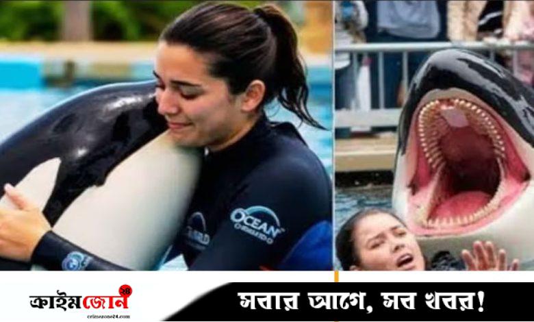 ফ্যাক্টচেক /অরকার আক্রমণে তরুণী প্রশিক্ষকের মৃত্যু, ভাইরাল ভিডিওটি সম্পর্কে যা জানা গেল