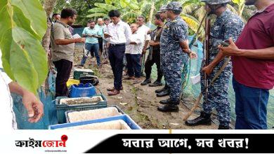 কয়রায় জেলি পুশ করা ৫০ কেজি চিংড়ি জব্দ, পাঁচ ব্যবসায়ীকে জরিমানা