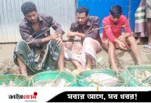 সোনাগাজীতে খামার থেকে মাছ লুট, ৩ জনকে পিটিয়ে পুলিশে সোপর্দ