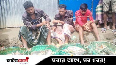 সোনাগাজীতে খামার থেকে মাছ লুট, ৩ জনকে পিটিয়ে পুলিশে সোপর্দ