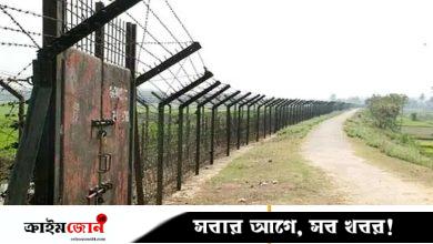 ভারত থেকে গরু আনতে গিয়ে প্রাণ হারাচ্ছে বাংলাদেশিরা