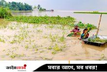 তলিয়ে গেছে ঘরবাড়ি ও ফসল, পানিবন্দী হাজারো পরিবার