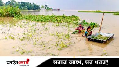তলিয়ে গেছে ঘরবাড়ি ও ফসল, পানিবন্দী হাজারো পরিবার