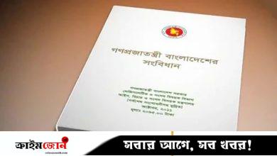 প্রতিযোগিতামূলক পরীক্ষায় ‘সংবিধান’ প্রস্তুতির কৌশল