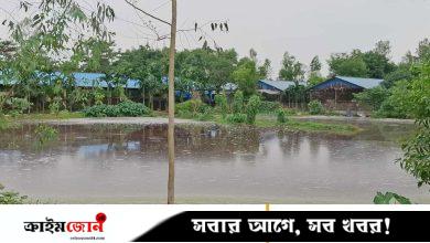 পোলট্রি বর্জ্যে অতিষ্ঠ জনজীবন, ক্ষুব্ধ এলাকাবাসী