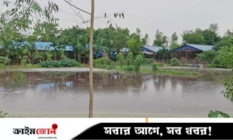 পোলট্রি বর্জ্যে অতিষ্ঠ জনজীবন, ক্ষুব্ধ এলাকাবাসী