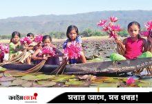 শান্ত জলে লাল শাপলা