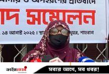জোরপূর্বক অপুর স্বীকারোক্তি নিয়েছেন বিএনপির ইশরাক, এনসিপির ব্যবস্থা করা সংবাদ সম্মেলনে দাবি স্ত্রীর