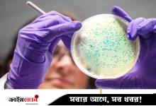 এআই উদ্ভাবিত অ্যান্টিবায়োটিক ধ্বংস করল গনোরিয়ার ‘সুপারবাগ’