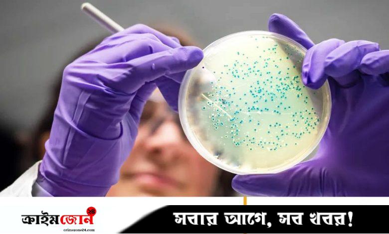 এআই উদ্ভাবিত অ্যান্টিবায়োটিক ধ্বংস করল গনোরিয়ার ‘সুপারবাগ’