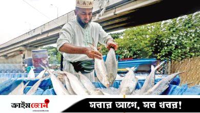 কেন কমছে সরবরাহ ও বাড়ছে দাম?