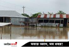 দৌলতপুরে পদ্মায় নতুন করে পানি না বাড়লেও দুর্ভোগ কমেনি বন্যার্তদের