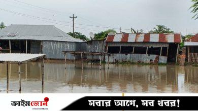 দৌলতপুরে পদ্মায় নতুন করে পানি না বাড়লেও দুর্ভোগ কমেনি বন্যার্তদের