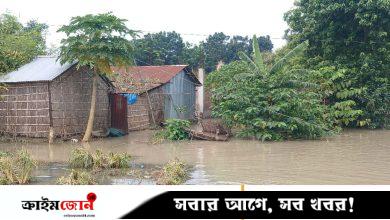 চাঁপাইনবাবগঞ্জে পদ্মার পানি কমছে, বাড়ছে ভাঙনের আশঙ্কা