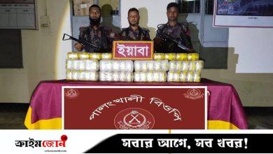 পোঁটলা ফেলে পালাল চোরাকারবারিরা, খুলে মিলল পৌনে ৫ লাখ ইয়াবা