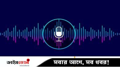 অস্ত্র দেওয়ার অডিও ফাঁস, তোলপাড়