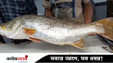 কুয়াকাটায় জেলের জালে ২২ কেজি ওজনের কোরাল মাছ