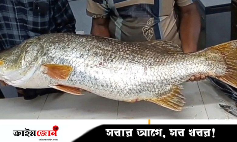 কুয়াকাটায় জেলের জালে ২২ কেজি ওজনের কোরাল মাছ