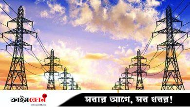 বিদ্যুতের সিস্টেম লস কমানোর নতুন প্রকল্প