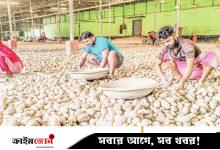 প্রতি কেজি আলুতে কৃষকের লোকসান ১৪-১৬ টাকা
