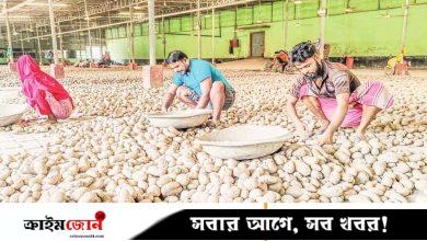 প্রতি কেজি আলুতে কৃষকের লোকসান ১৪-১৬ টাকা