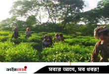 অদম্য নারীর স্বপ্নজয়: প্রতিকূল আবহাওয়াতেও নেপচুনে কর্মচাঞ্চল্য