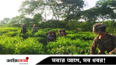 অদম্য নারীর স্বপ্নজয়: প্রতিকূল আবহাওয়াতেও নেপচুনে কর্মচাঞ্চল্য