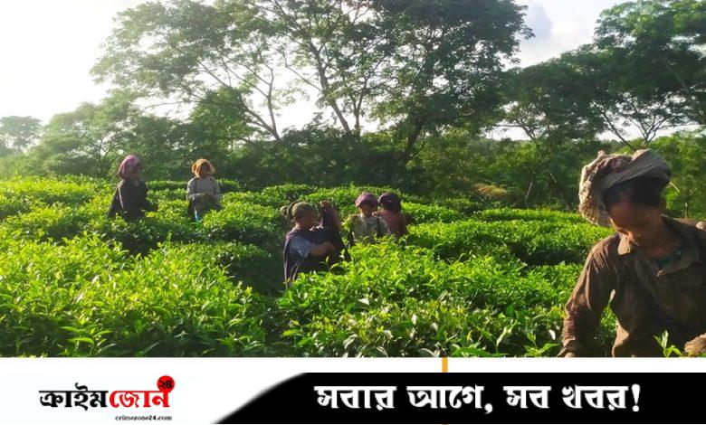 অদম্য নারীর স্বপ্নজয়: প্রতিকূল আবহাওয়াতেও নেপচুনে কর্মচাঞ্চল্য