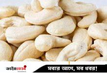 পাহাড়ি চাষ, প্রক্রিয়াজাত শিল্প ও বাজার সম্ভাবনা