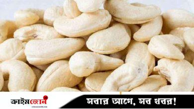 পাহাড়ি চাষ, প্রক্রিয়াজাত শিল্প ও বাজার সম্ভাবনা