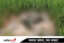 শ্রীবরদীতে ধানখেত থেকে কৃষকের অর্ধগলিত লাশ উদ্ধার