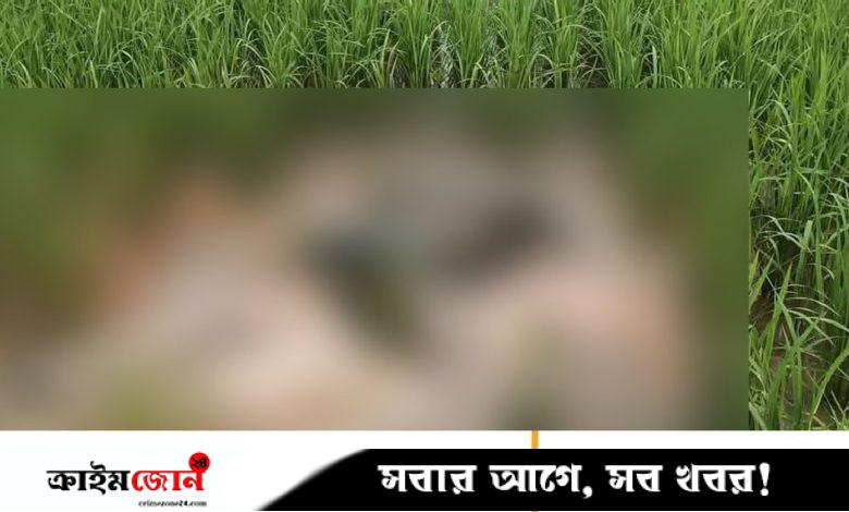 শ্রীবরদীতে ধানখেত থেকে কৃষকের অর্ধগলিত লাশ উদ্ধার