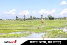 বন্যা-বৃষ্টির সময় বদল, বিপাকে কৃষকেরা